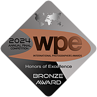 WPE Bronze Badge Annual Final 2024 Fine Art Nude